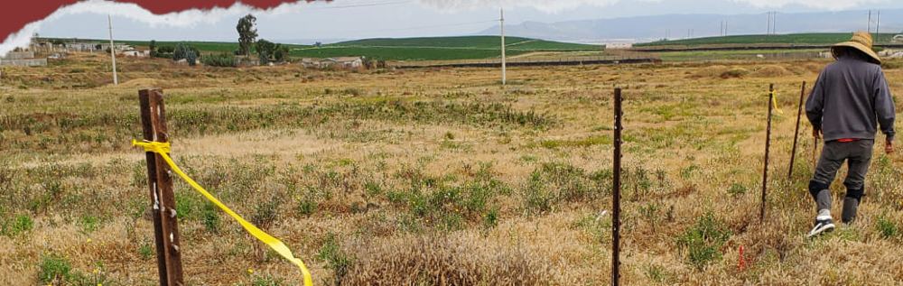 Trazo y encalado de límites de lotes en una lotificación