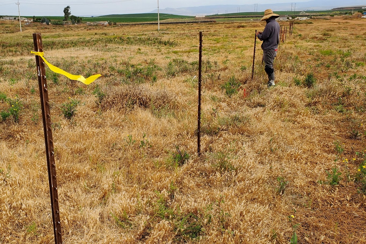 Boundary line verification during a deslinde